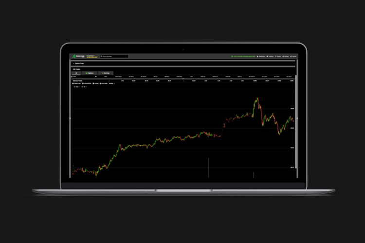thinkorswim Web charts on a laptop